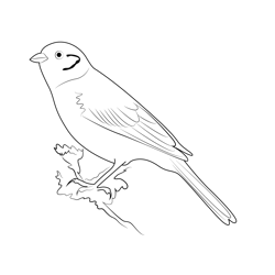 Male Yellowhammer Free Coloring Page for Kids