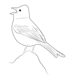 Singing Yellowhammer Free Coloring Page for Kids