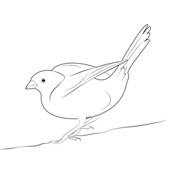 Wing Fly Yellowhammer Free Coloring Page for Kids