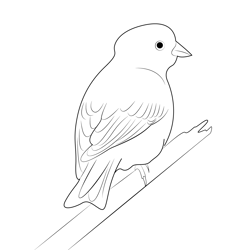 Yellowhammer On The Branch Free Coloring Page for Kids