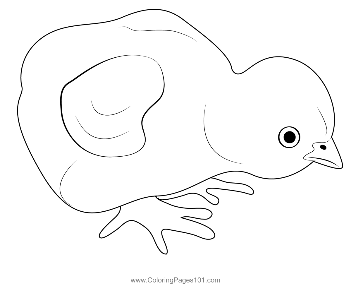 Baby Chickens Coloring Page for Kids - Free Chickens Printable Coloring