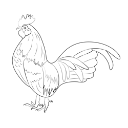 Big Chicken Free Coloring Page for Kids