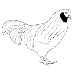 Black Chicken Free Coloring Page for Kids