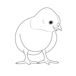 Chick Baby 3 Free Coloring Page for Kids