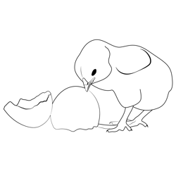 Chicken Egg Free Coloring Page for Kids