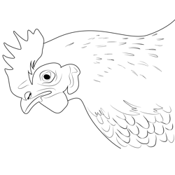Close Up Chicken Free Coloring Page for Kids