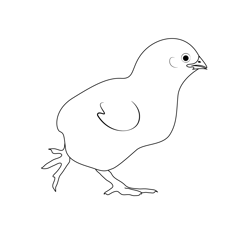 Yellow Chick Baby Free Coloring Page for Kids