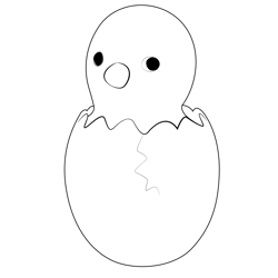 Yellow Chick In Egg Free Coloring Page for Kids