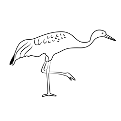 Common Crane In Water Free Coloring Page for Kids