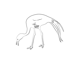 Crane 1 Free Coloring Page for Kids