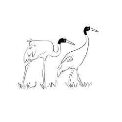 Crane 4 Free Coloring Page for Kids