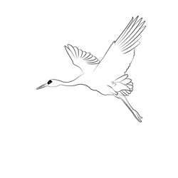 Crane 5 Free Coloring Page for Kids