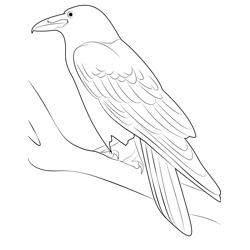 Black Bird Raven Free Coloring Page for Kids