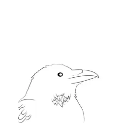Carrion Crow 11 Free Coloring Page for Kids