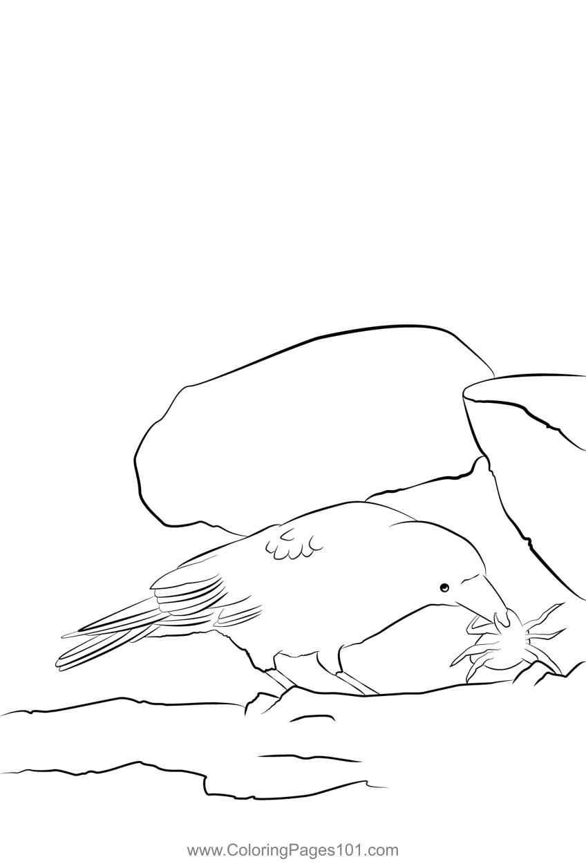 Carrion Crow 19 Coloring Page for Kids - Free Crows Printable Coloring