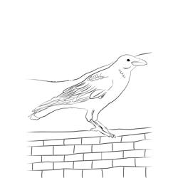 Carrion Crow 2 Free Coloring Page for Kids