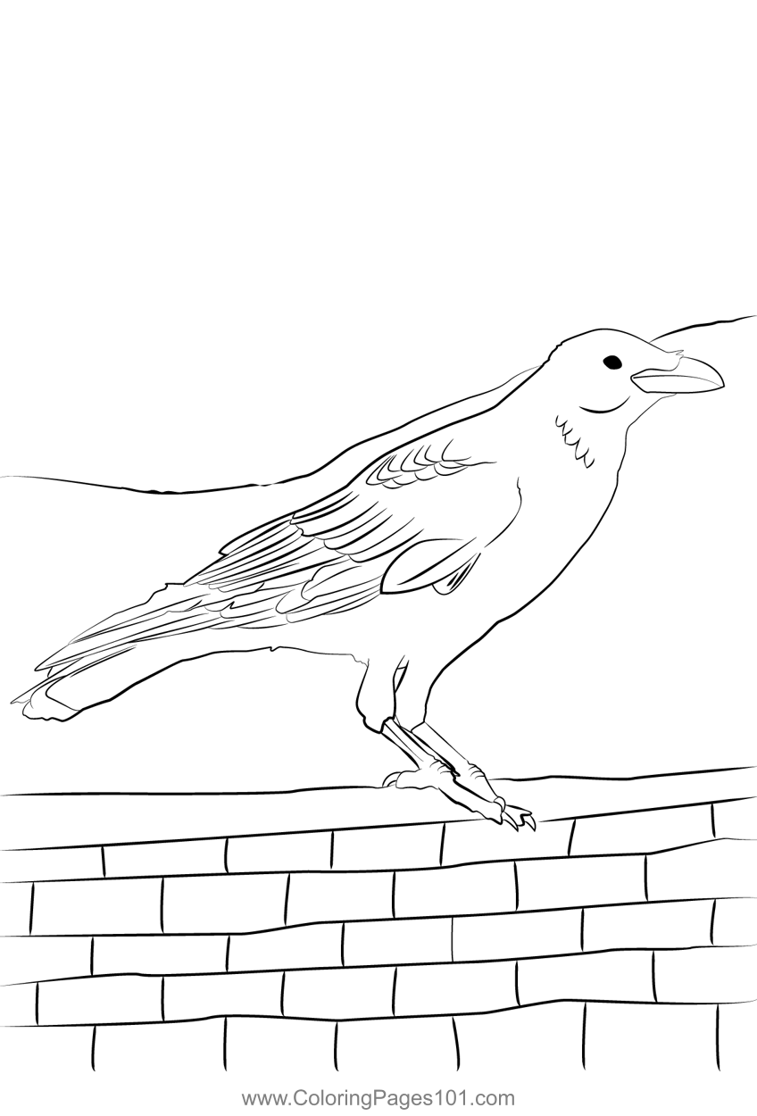 Carrion Crow 2 Coloring Page for Kids - Free Crows Printable Coloring