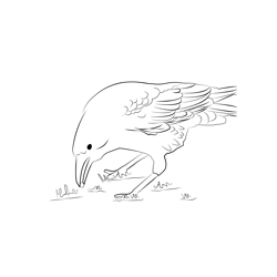 Carrion Crow 3 Free Coloring Page for Kids