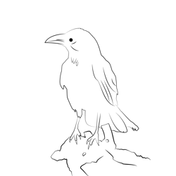 Carrion Crow 4 Free Coloring Page for Kids