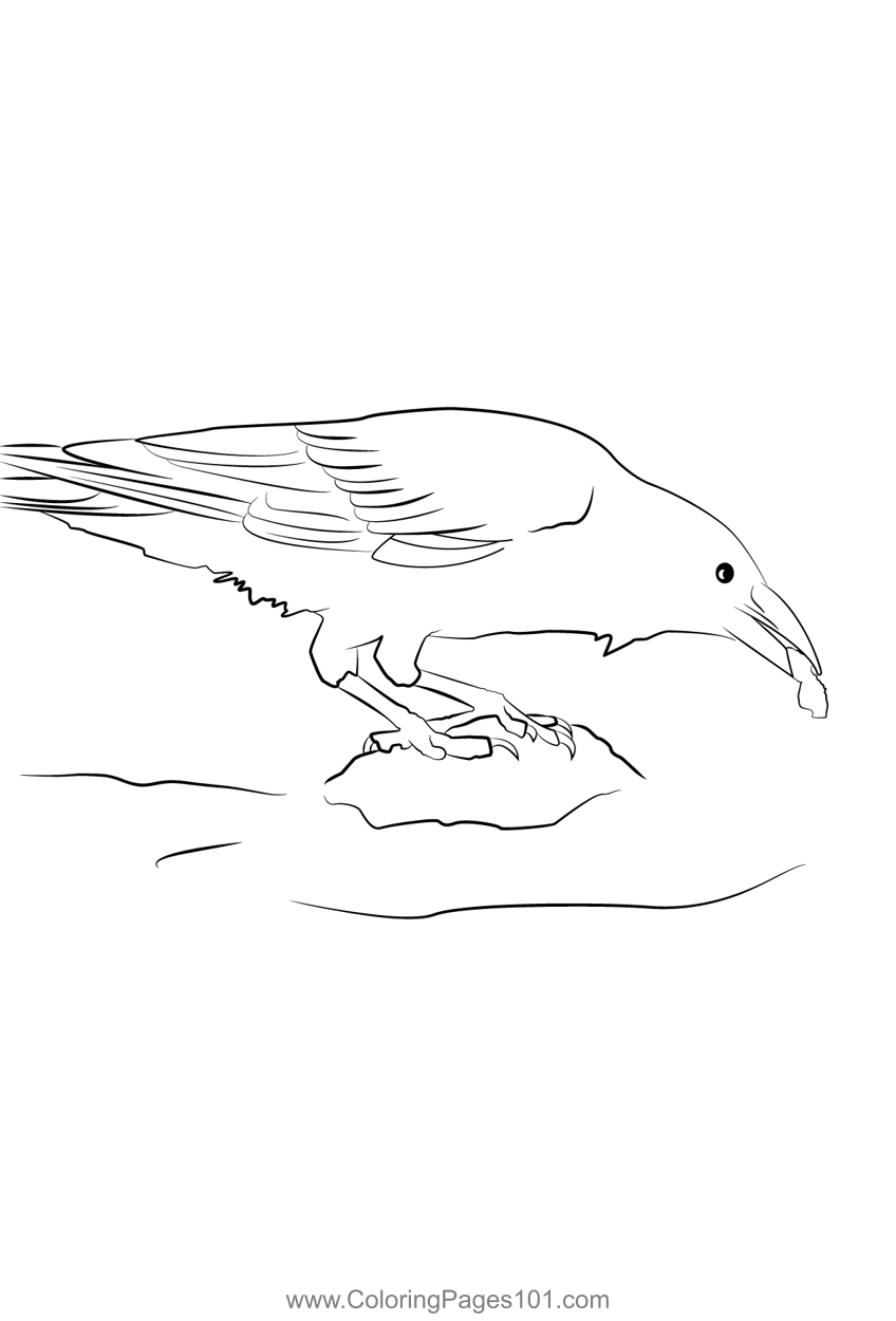 Carrion Crow 5 Coloring Page for Kids - Free Crows Printable Coloring