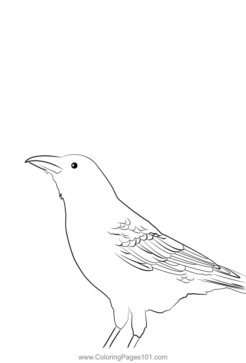 Carrion Crow 8 Coloring Page for Kids - Free Crows Printable Coloring