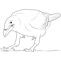 Common Raven Standing Free Coloring Page for Kids