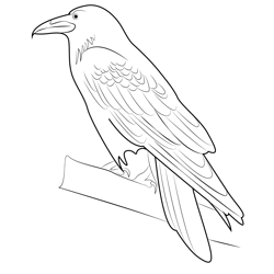 Raven 1 Free Coloring Page for Kids