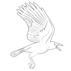 Raven 10 Free Coloring Page for Kids