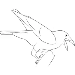 Raven 4 Free Coloring Page for Kids
