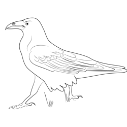 Raven 5 Free Coloring Page for Kids