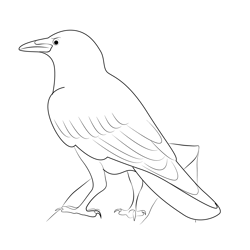 Raven Bird 2 Free Coloring Page for Kids
