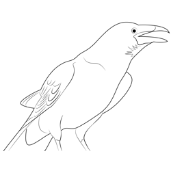 Royal Raven Free Coloring Page for Kids