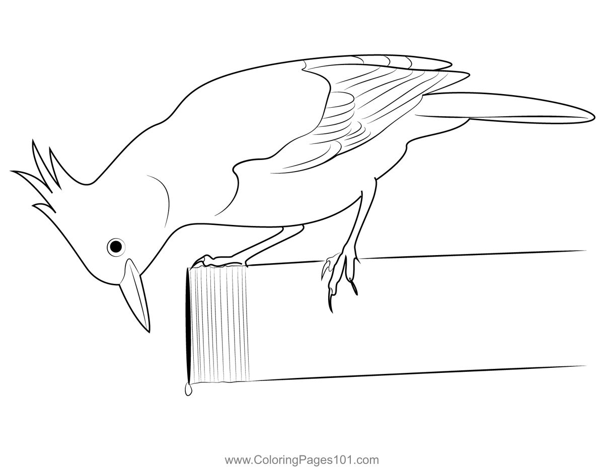 Steller's Jay 5 Coloring Page for Kids - Free Crows Printable Coloring ...