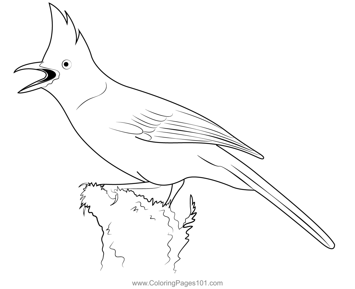 Stellers Jay Coloring Page for Kids - Free Crows Printable Coloring ...