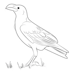 Raven Free Coloring Page for Kids