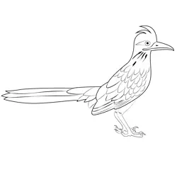 Aged Road Runner Free Coloring Page for Kids