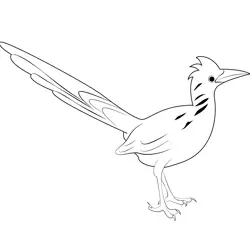 Road Runner 4 Free Coloring Page for Kids