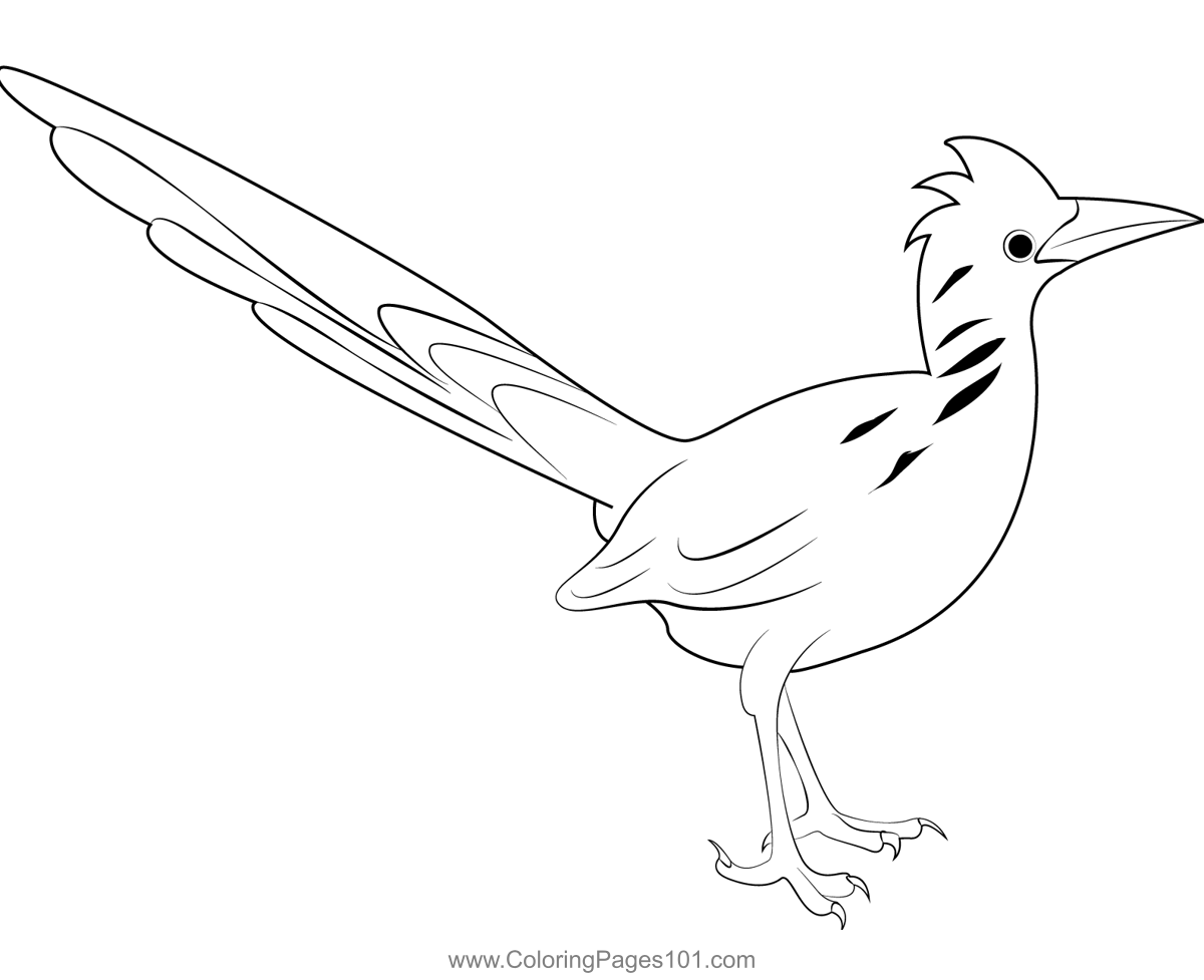 Road Runner 4 Coloring Page For Kids Free Cuckoos Printable Coloring road-runner-4-coloring-page-for-kids-free-cuckoos-printable-coloring