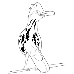 Road Runner 6 Free Coloring Page for Kids
