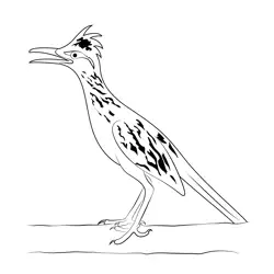 Road Runner 7 Free Coloring Page for Kids