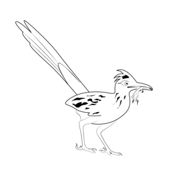 Road Runner Eating Free Coloring Page for Kids