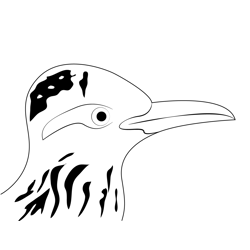 Roadrunner Face Free Coloring Page for Kids