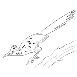 Roadrunner Jump Free Coloring Page for Kids