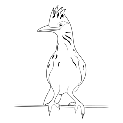 Roadrunner On Fence Free Coloring Page for Kids
