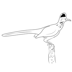 Standing On Wood Road Runner Free Coloring Page for Kids