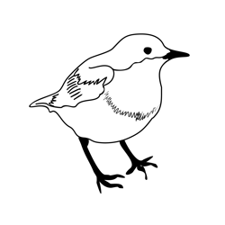 Dipper 1 Free Coloring Page for Kids