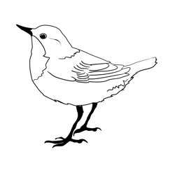 Dipper 2 Free Coloring Page for Kids