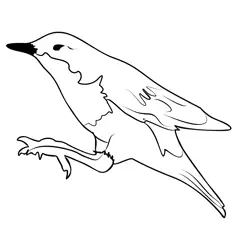 Dipper 3 Free Coloring Page for Kids