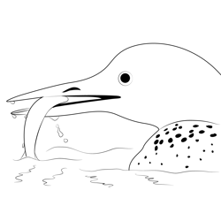 Common Loon Attacking Fish Free Coloring Page for Kids