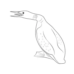 Hungry Loon Free Coloring Page for Kids